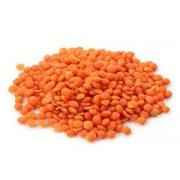Red Split Lentils Masoor Dal
