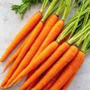 CARROT