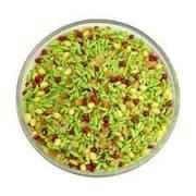 GREEN MUKHWAS KLG