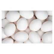 GRADE A LARGE EGGS TOP NOTCH