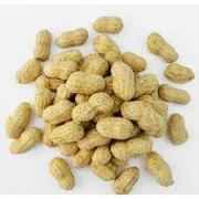 RAW PEANUTS INDIA BAZAAR