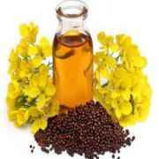 PURE MUSTARD OIL GRAIN MARKET