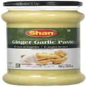GINGER GARLIC PASTE SHAN