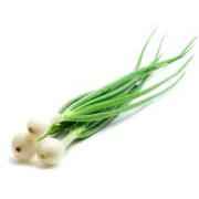 CEBOLLITAS GREEN ONION