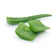 ALOE VERA FRESH