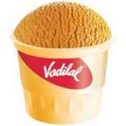 ALPHONSO MANGO CUP VADILAL