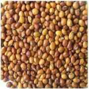 TOOR WHOLE GRAIN MARKET