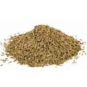 CUMIN SEED GRAIN MARKET