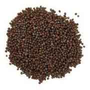 MUSTARD SEED BIG INDIA BAZAAR