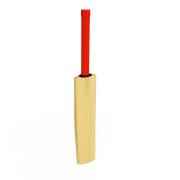 WOODEN CRICKET BAT NO 2