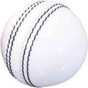 WHITE CRICKET SEASON BALL