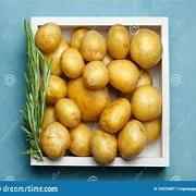 POTATO PIPE COLOR GRAIN MARKET
