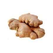 Ginger