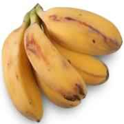 Saba Banana
