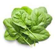 FRESH SPINACH BAG