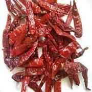 Gazab Chilli Whole Guntur