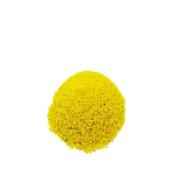 RAI KURIYA (MUSTARD SPLIT) GRAIN MARKET