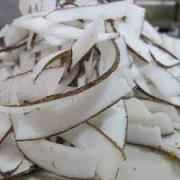 Swagat Coconut Slice