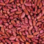 DARK RED KIDENY BEANS