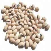 GM Black Eye Peas