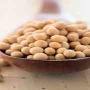 GM Soya Beans