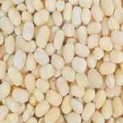 Kohinoor Urad Gota