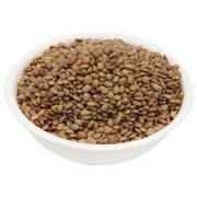 RAMDEV HORSE GRAM