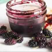 Taza Mulberry Preserve