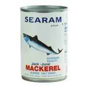 Searam Mackerel In Oil