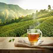 LX INDIA TEA