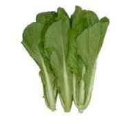 MUSTARD LEAVES