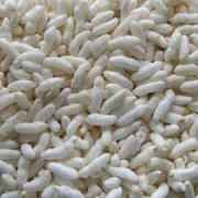 SHALINI PREMIUM MUMRA