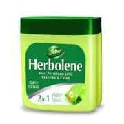 DABUR HERBOLENE VASE 2IN1
