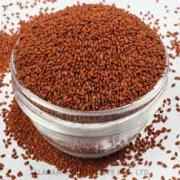 Krish Asario Seeds