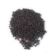 Spicy World Mustard Seed