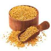 SW MUSTARD SEED YELLOW