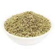 SW RSTD FENNEL SED