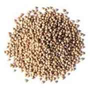 RAMDEV CORIANDER WHOLE