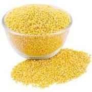 SWAGAT MOONG DAL