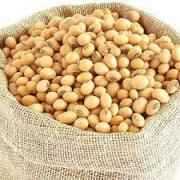 SWAGAT SOYA BEAN