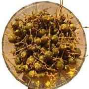 Ramdev Kerda Pickle