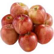 Apple Bag
