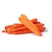 Carrot