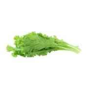 Mustard Leaves