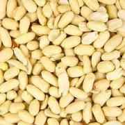BLANCHED PEANUT