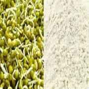 NBK Sprouted Moong Flour