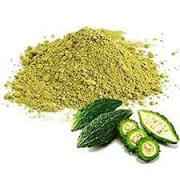 Adani Karela Powder