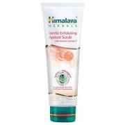 HIM APRICOT SCRUB