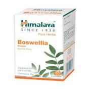 Himalaya Shallaki