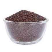 Adani Mustard Seeds Big